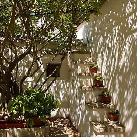 I Trulli Della Naturabio Martina Franca Exterior foto