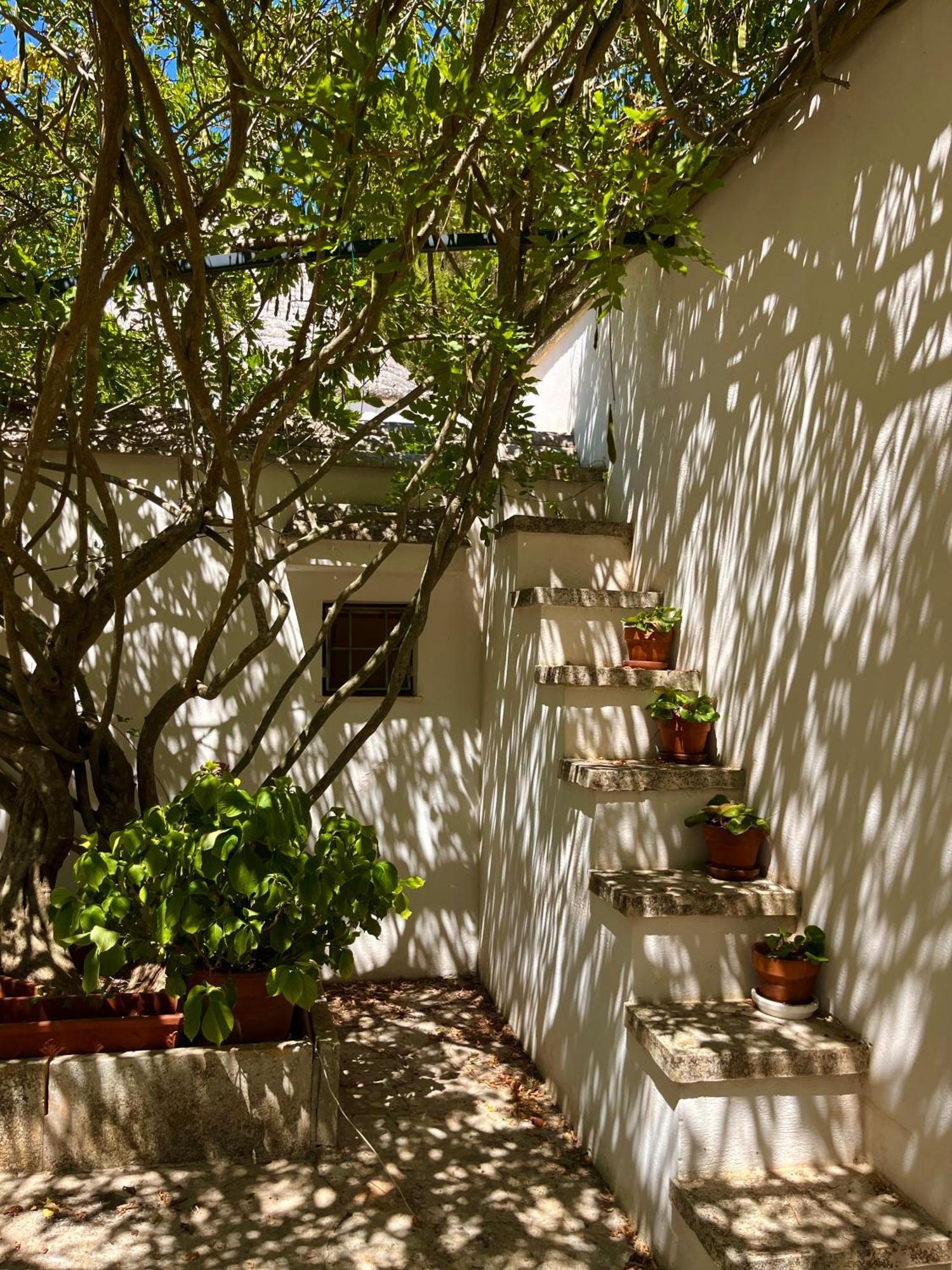 I Trulli Della Naturabio Martina Franca Exterior foto